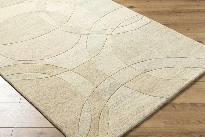 Rollo Contemporary Beige Area Rug - The Rug Decor
