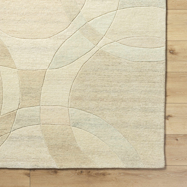 Rollo Contemporary Beige Area Rug - The Rug Decor