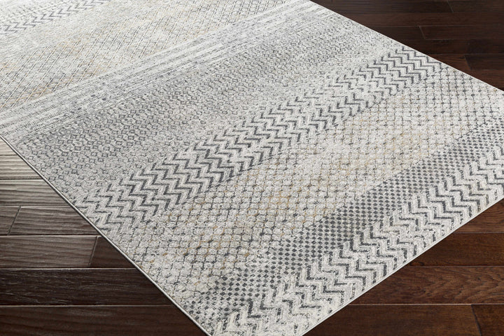 Rombauer Gray Modern Style Area Rug