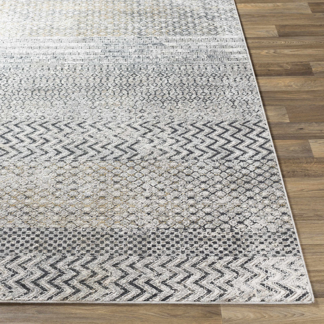 Rombauer Gray Modern Style Area Rug