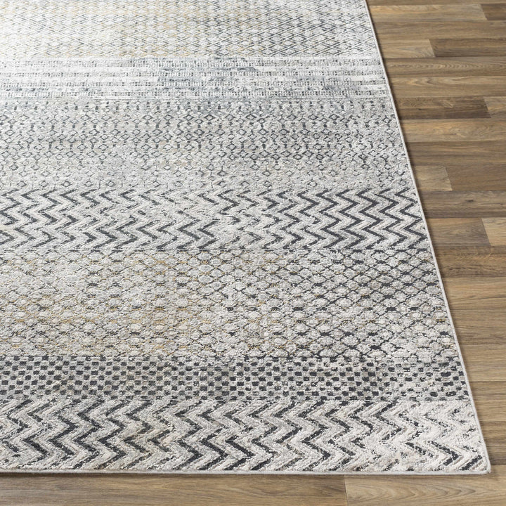 Rombauer Gray Modern Style Area Rug