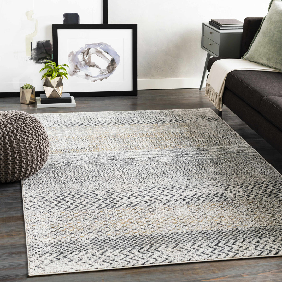 Rombauer Gray Modern Style Area Rug