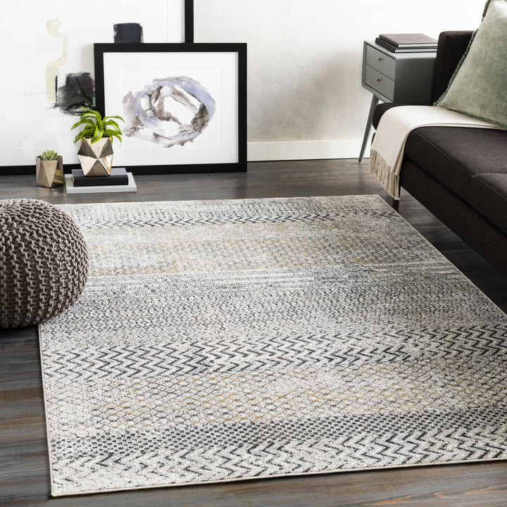 Rombauer Gray Modern Style Area Rug