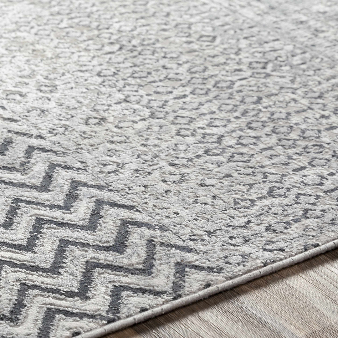 Rombauer Gray Modern Style Area Rug