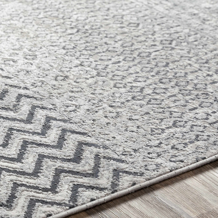 Rombauer Gray Modern Style Area Rug