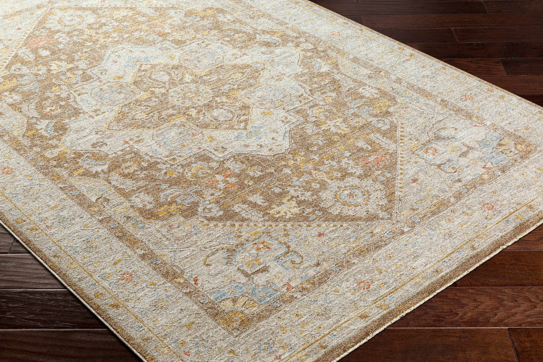 Roni Traditional Style Beige & Brown Thick Luxe Rug - The Rug Decor