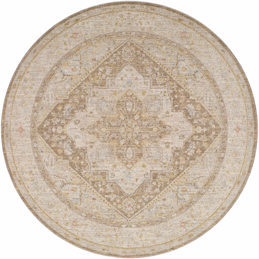 Roni Traditional Style Beige & Brown Thick Luxe Rug - The Rug Decor