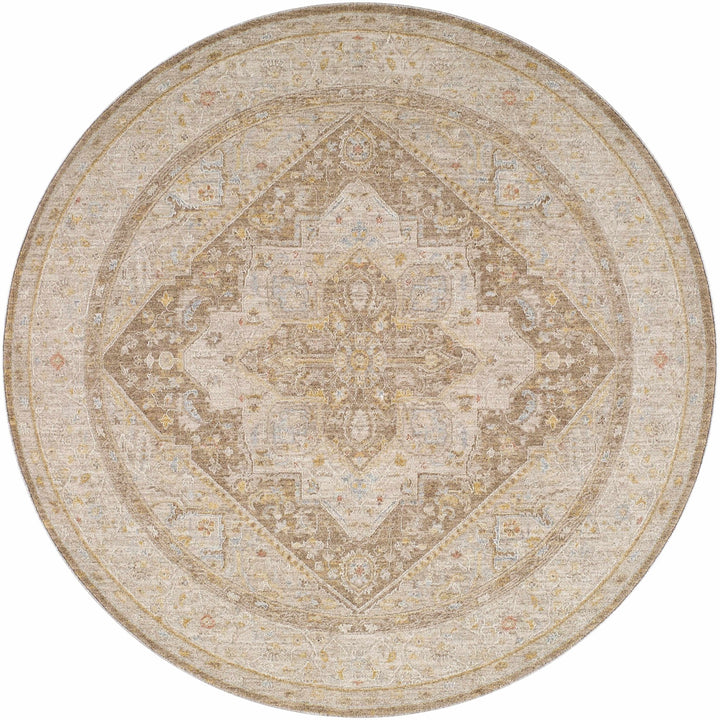 Roni Traditional Style Beige & Brown Thick Luxe Rug - The Rug Decor