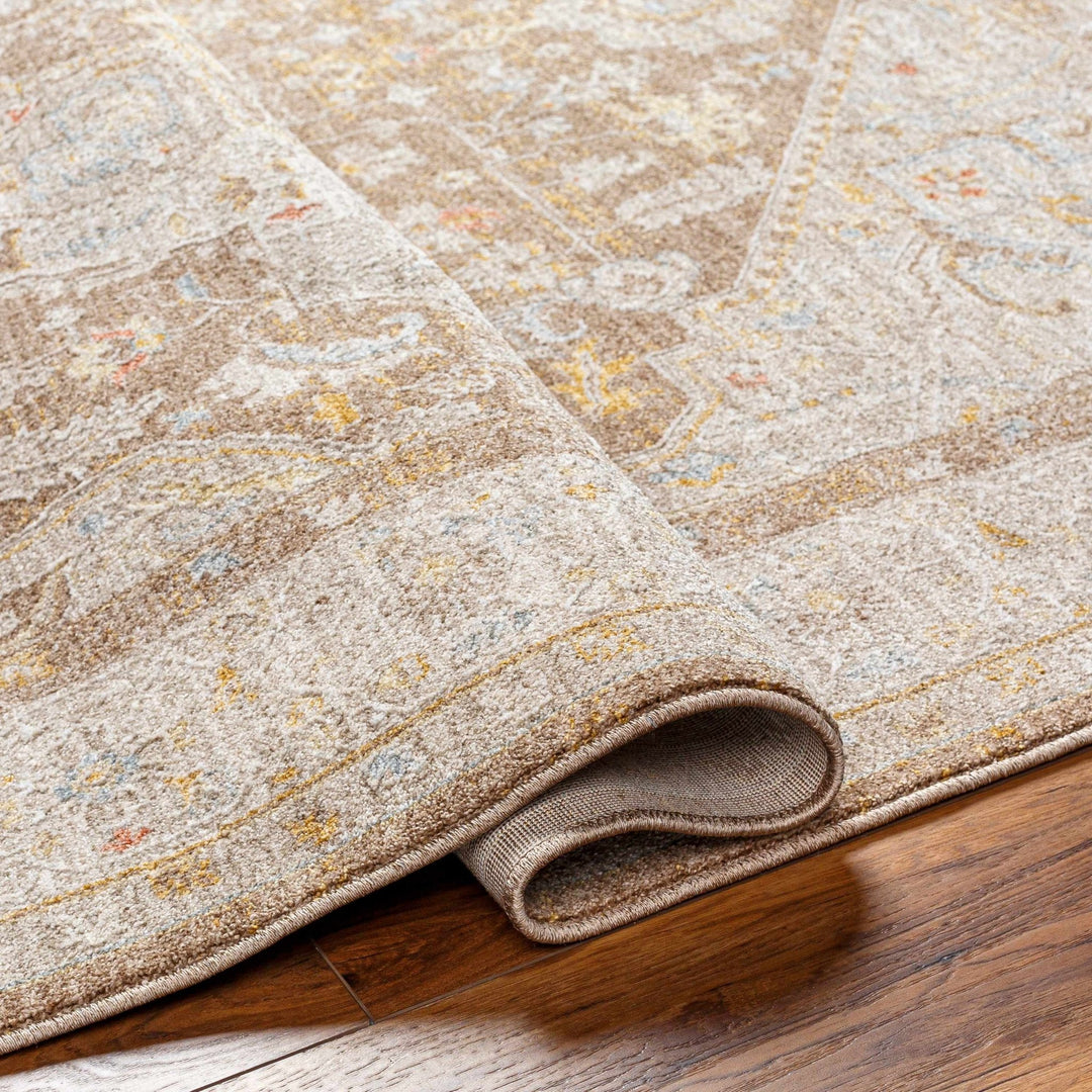 Roni Traditional Style Beige & Brown Thick Luxe Rug - The Rug Decor