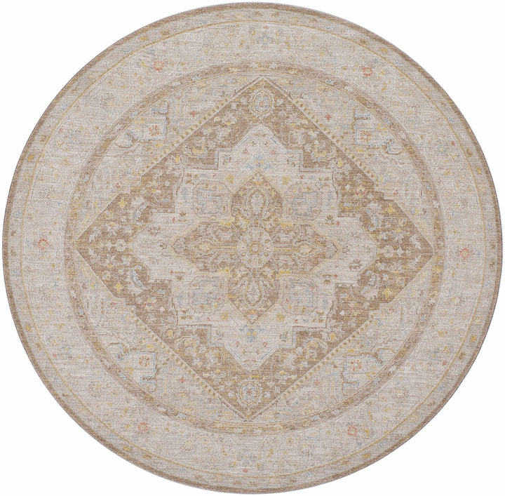 Roni Traditional Style Beige & Brown Thick Luxe Rug - The Rug Decor