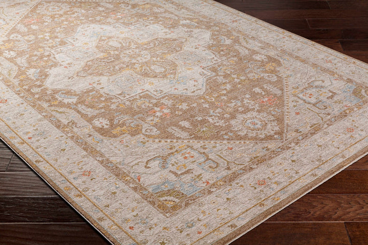 Roni Traditional Style Beige & Brown Thick Luxe Rug - The Rug Decor