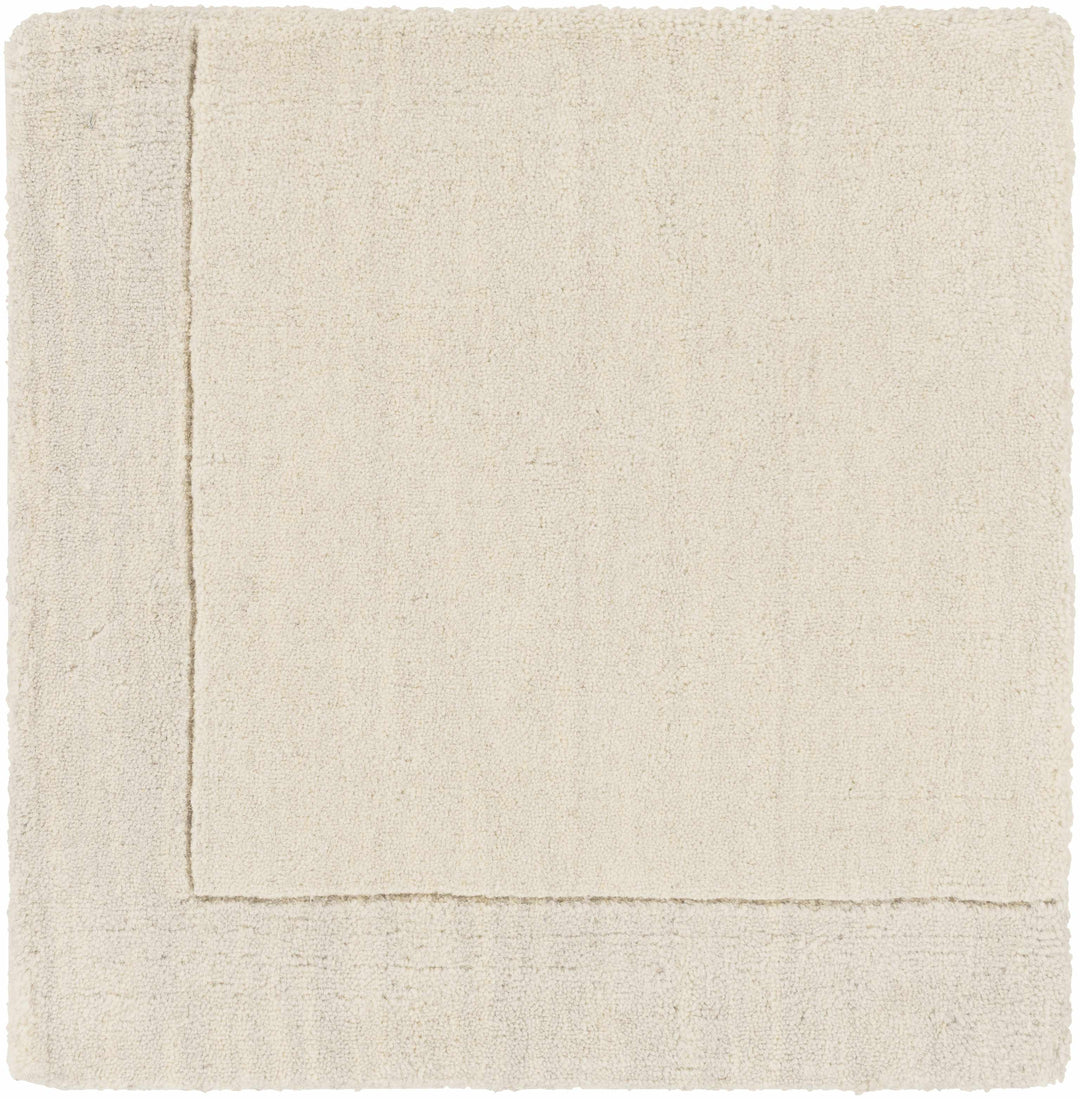 Bordered Beige Modern Style Hand Loom Wool Area Rug