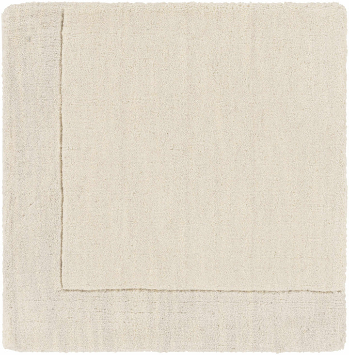 Bordered Beige Modern Style Hand Loom Wool Area Rug