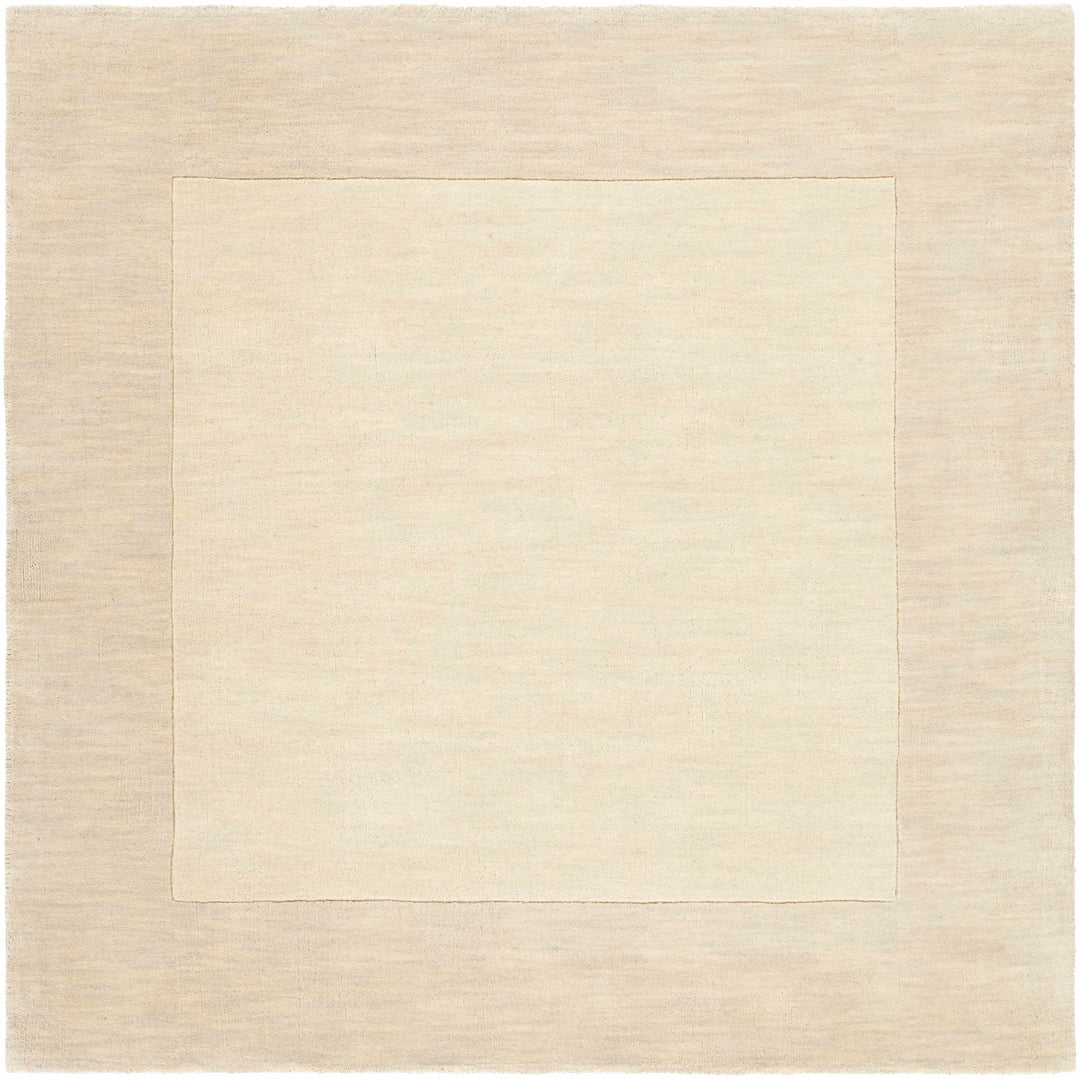 Bordered Beige Modern Style Hand Loom Wool Area Rug