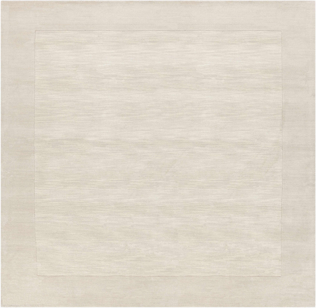 Bordered Beige Modern Style Hand Loom Wool Area Rug