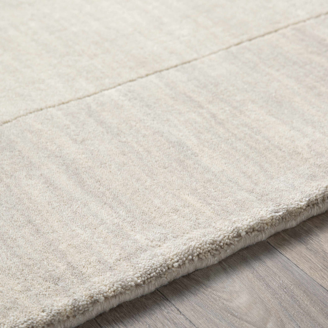 Bordered Beige Modern Style Hand Loom Wool Area Rug