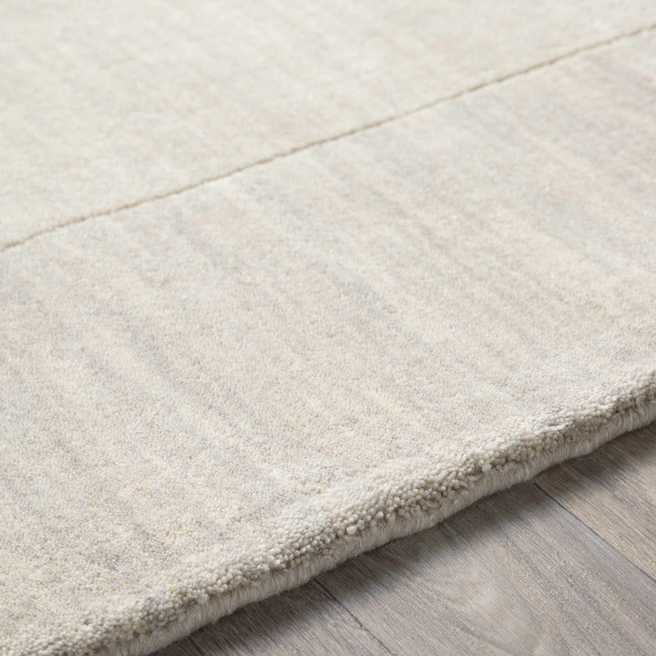 Bordered Beige Modern Style Hand Loom Wool Area Rug