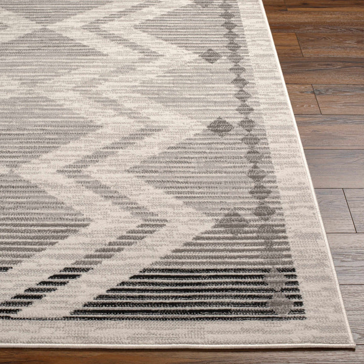 Rory Bohemian Style Ivory And Gray Area Rug - The Rug Decor