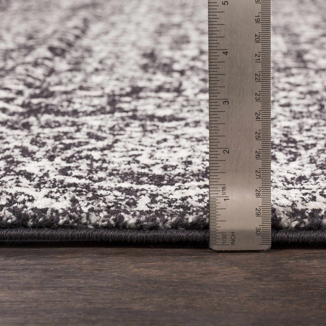 Roseland Charcoal And White Traditional Style Area Rug