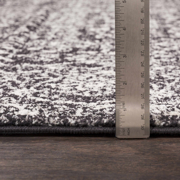 Roseland Charcoal And White Traditional Style Area Rug