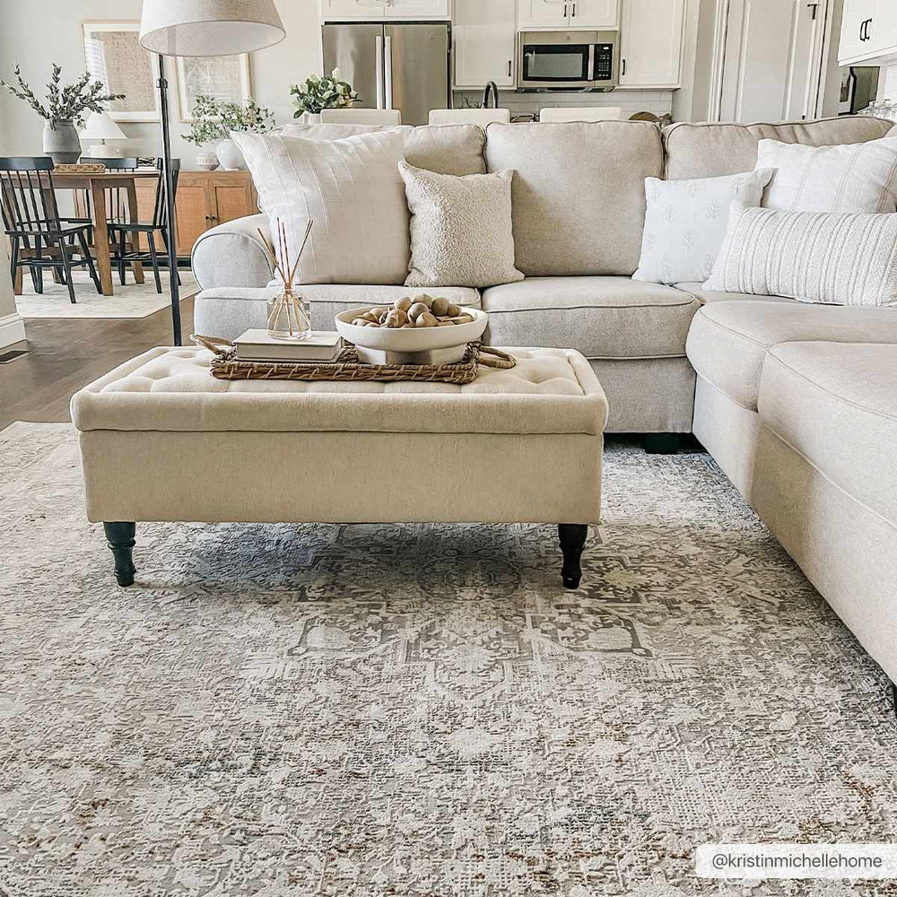 Rugeley Traditional Style Gray Area Rug - The Rug Decor