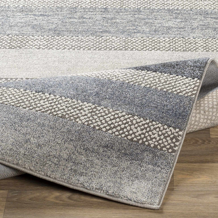 Ravendale Gray And Blue Modern Style Area Rug