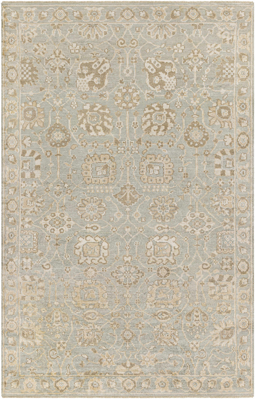 Ravenshead Gray And Beige Traditional Floral Design Hand Knotted Area Rug