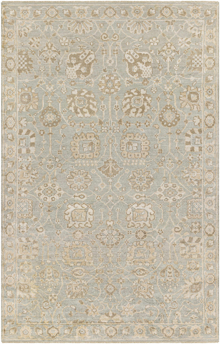 Ravenshead Gray And Beige Traditional Floral Design Hand Knotted Area Rug