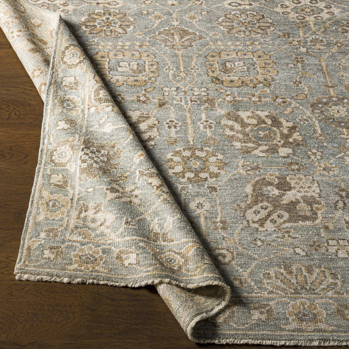 Ravenshead Gray And Beige Traditional Floral Design Hand Knotted Area Rug