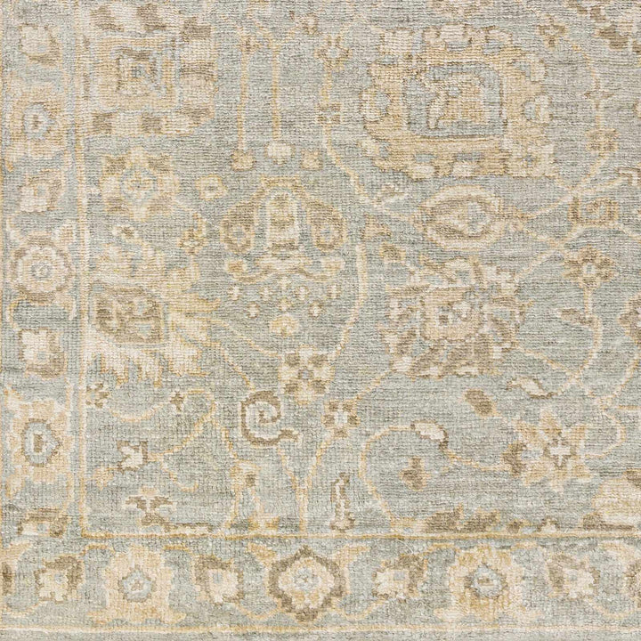 Ravenshead Gray And Beige Traditional Floral Design Hand Knotted Area Rug