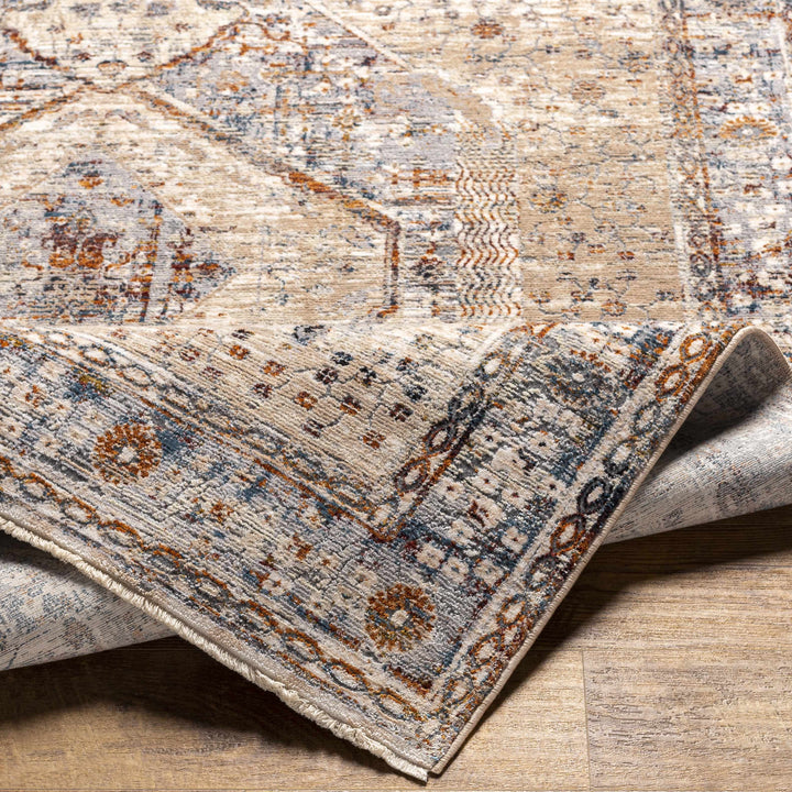 Roy Traditional Medallion Design Beige And Blue Area Rug