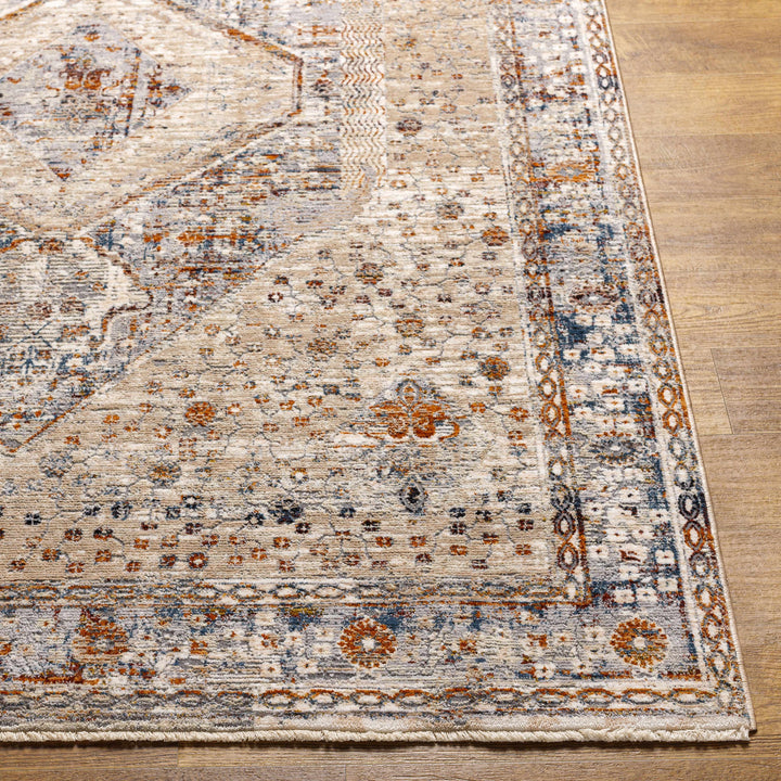 Roy Traditional Medallion Design Beige And Blue Area Rug