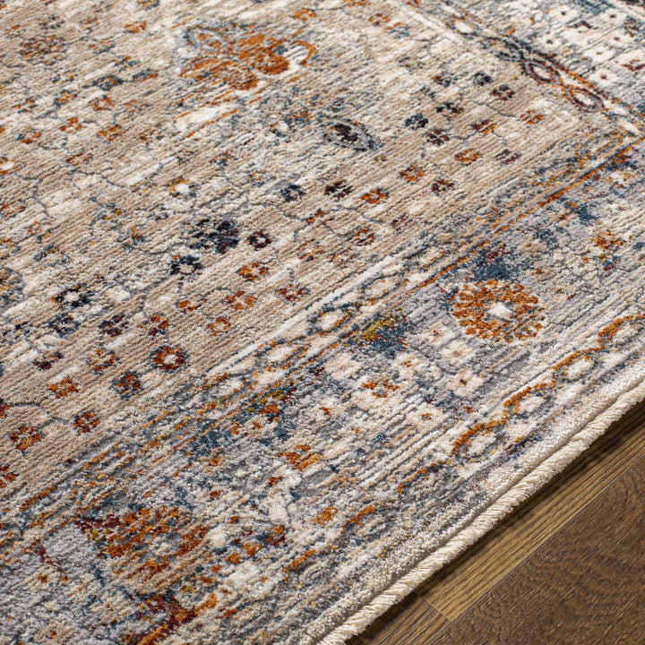 Roy Traditional Medallion Design Beige And Blue Area Rug