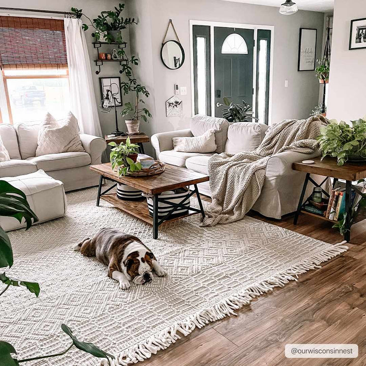 Ryne Scandinavian Style Ivory Hand Woven Rug - The Rug Decor