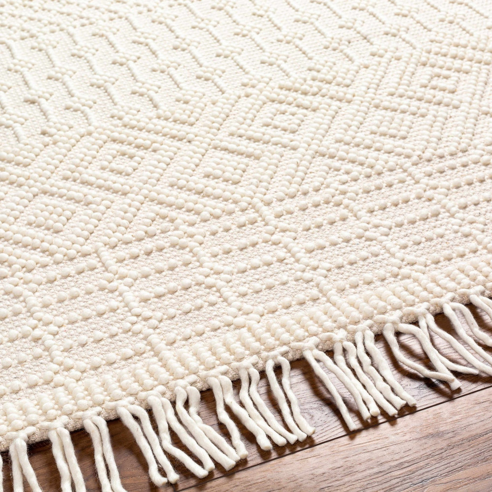 Ryne Scandinavian Style Ivory Hand Woven Rug - The Rug Decor
