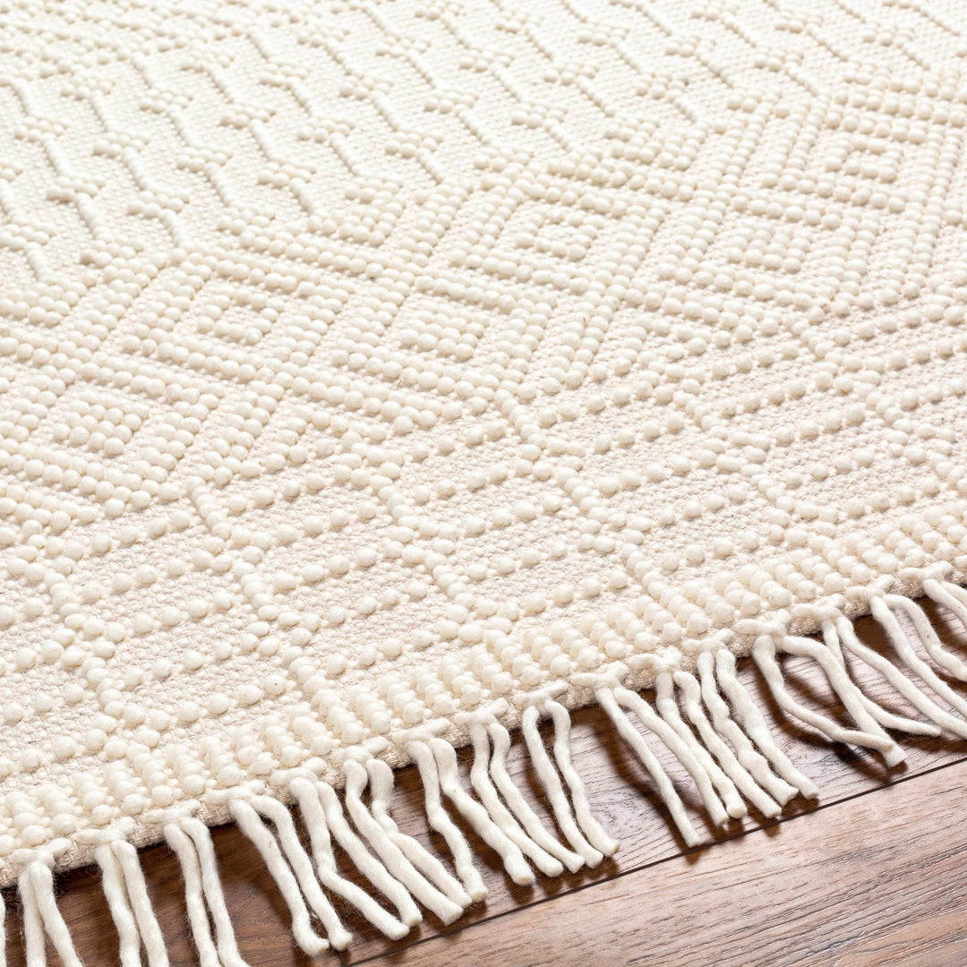 Ryne Scandinavian Style Ivory Hand Woven Rug - The Rug Decor