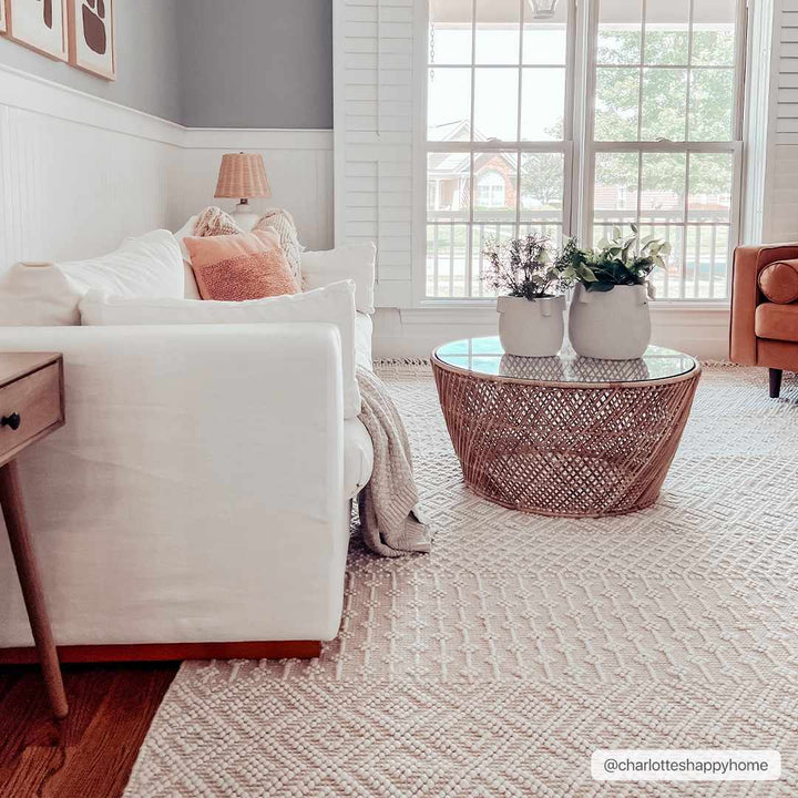 Ryne Scandinavian Style Ivory Hand Woven Rug - The Rug Decor