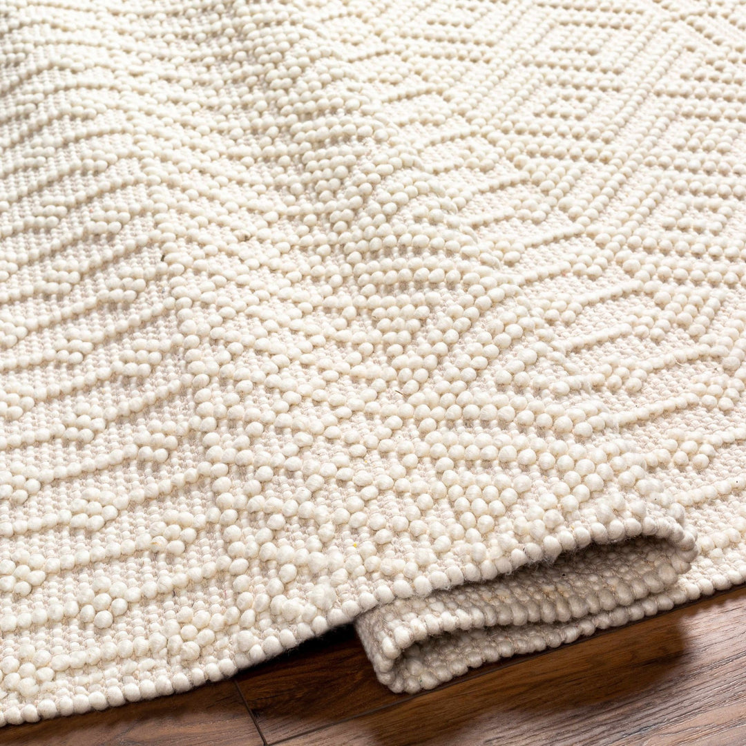 Ryne Scandinavian Style Ivory Hand Woven Rug - The Rug Decor