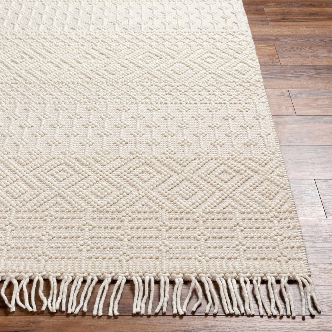 Ryne Scandinavian Style Ivory Hand Woven Rug - The Rug Decor