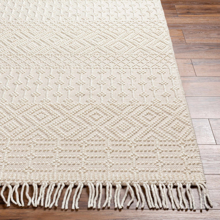 Ryne Scandinavian Style Ivory Hand Woven Rug - The Rug Decor