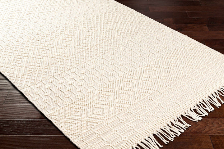 Ryne Scandinavian Style Ivory Hand Woven Rug - The Rug Decor