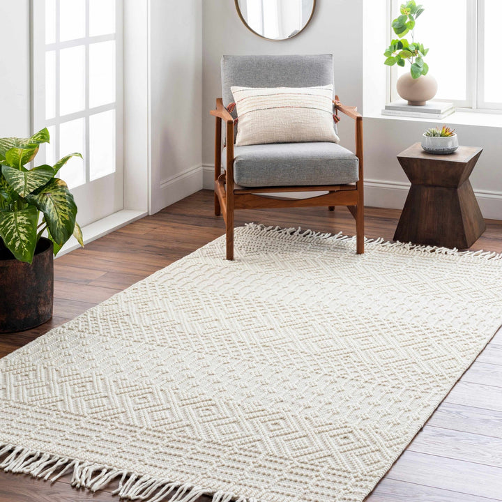 Ryne Scandinavian Style Ivory Hand Woven Rug - The Rug Decor