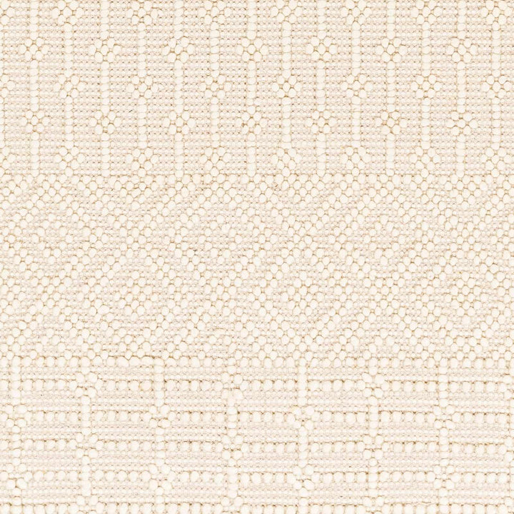 Ryne Scandinavian Style Ivory Hand Woven Rug - The Rug Decor