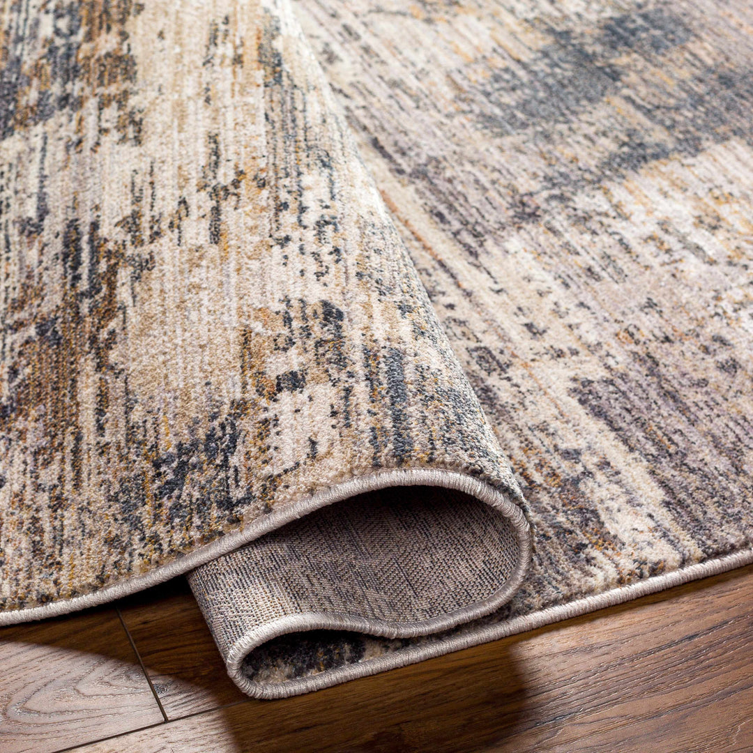Asuna Modern Abstract Design Beige And Gray Area Rug