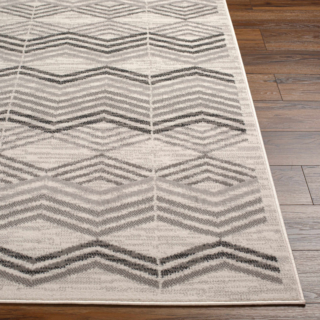 Saar Contemporary Geometrical Gray Area Rug