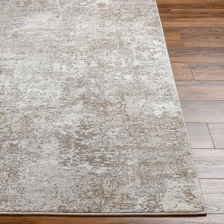 Bruna Modern Abstract Design Ivory And Beige Area Rug