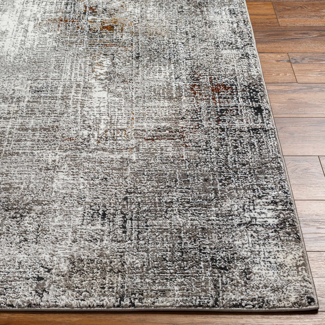 Ervin Gray Modern Abstract Design Area Rug