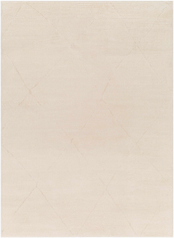 Aldis Modern Style Beige Washable Rug