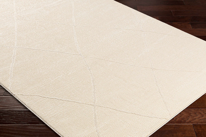 Aldis Modern Style Beige Washable Rug