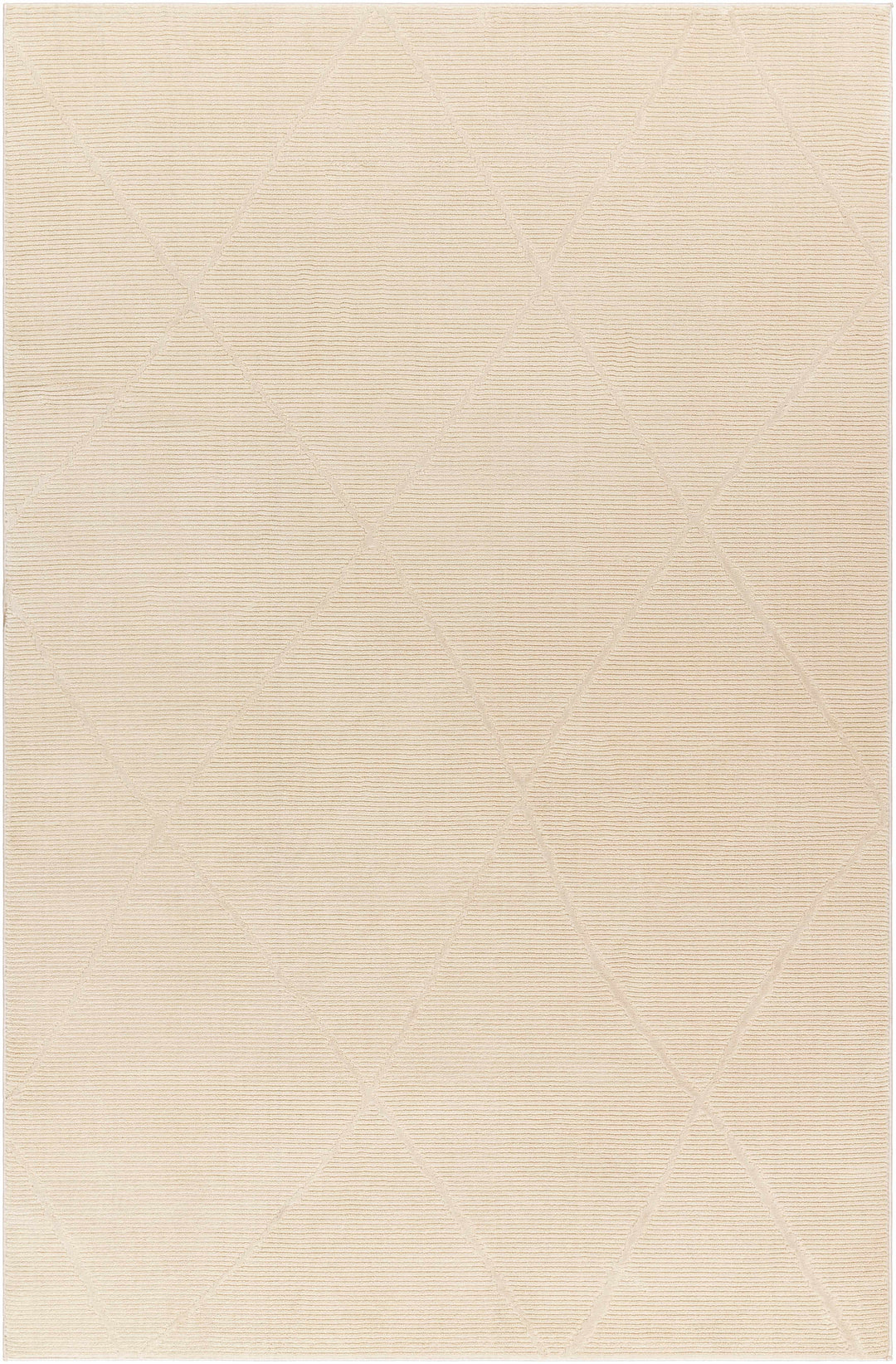 Aldis Modern Style Beige Washable Rug
